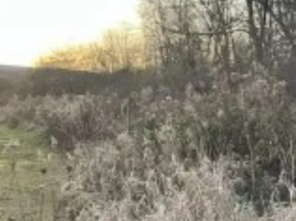 0 Essex Rd, Coeburn, VA 24230