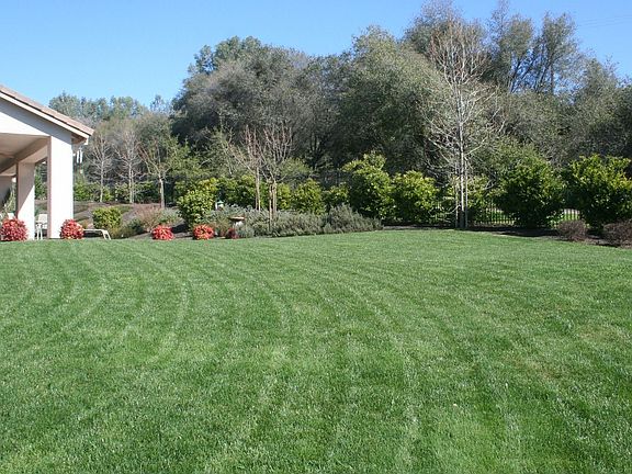 Lush Rear Yard w/ Plenty Room to Customize!