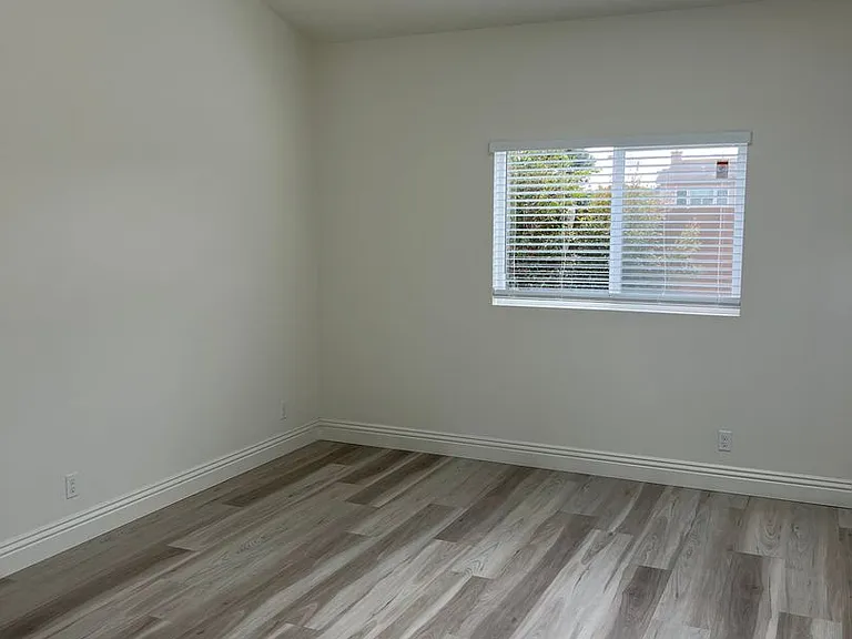 Hillandale Palms — Photo 3
