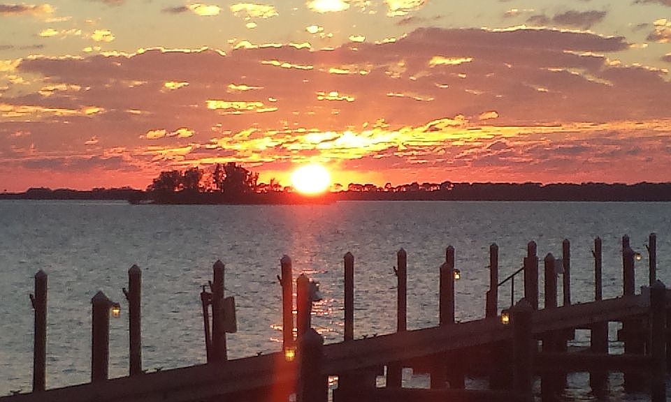 1st image of 1420 Bayshore Blvd #202