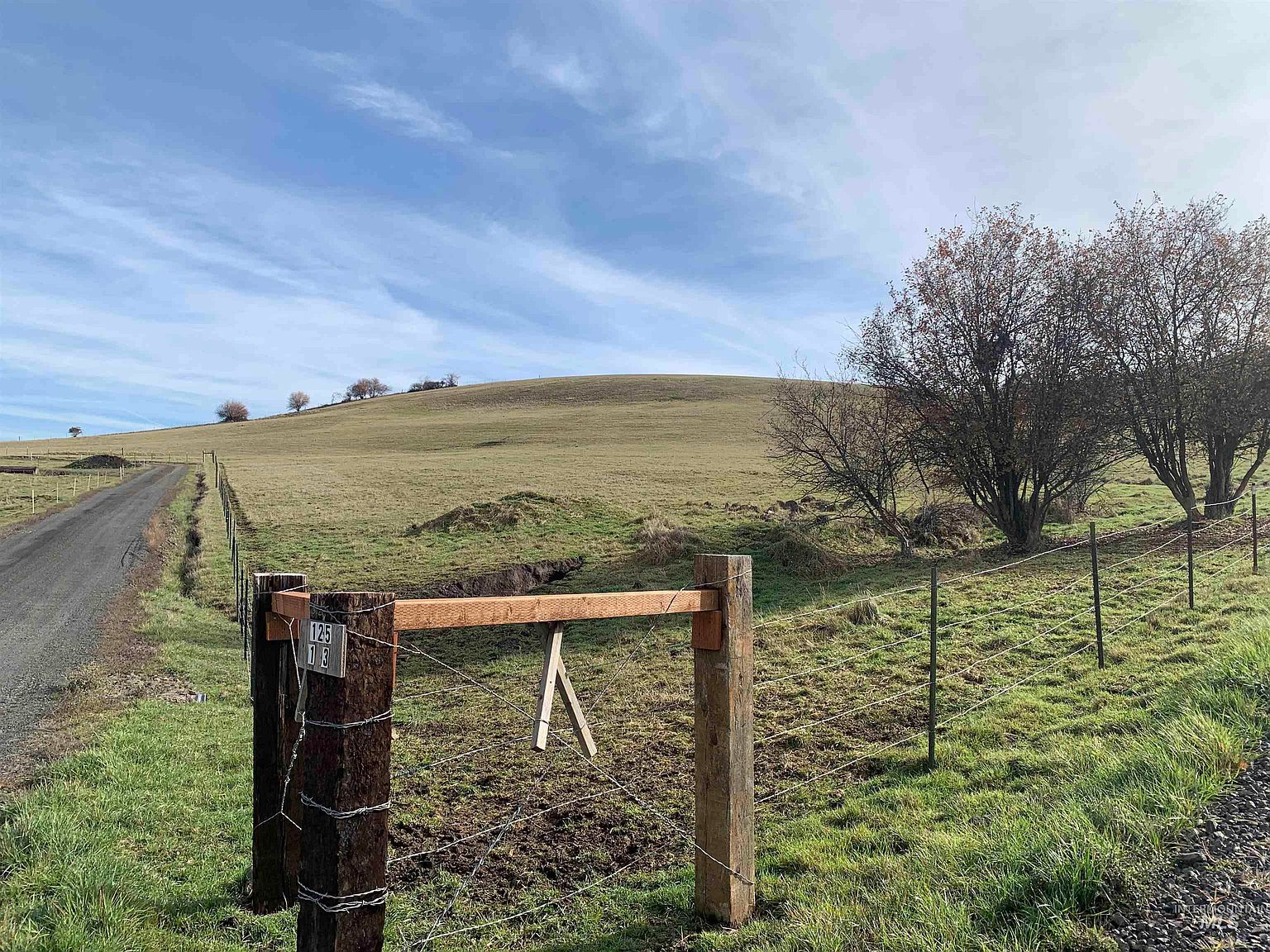 Longhorn Ln, Kooskia, ID 83539 MLS 98894784 Zillow