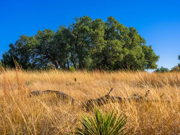 19 Legacy Oaks Drive LOT 19, Harper, TX 78631