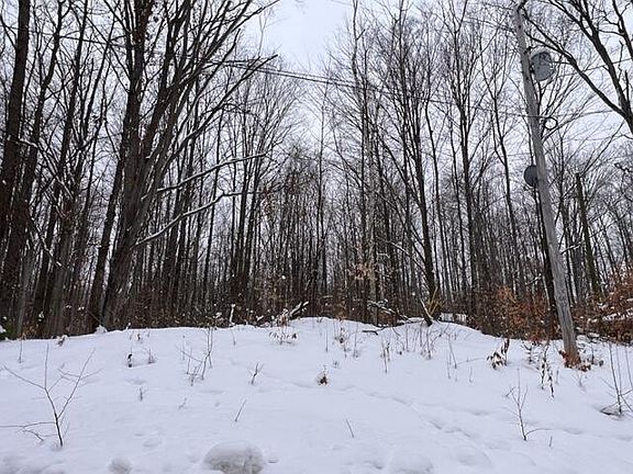 3rd image of LOT 101 Hill Top Dr