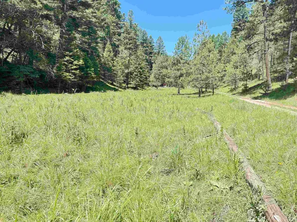 235 Dark Canyon Rd, Cloudcroft, NM 88317