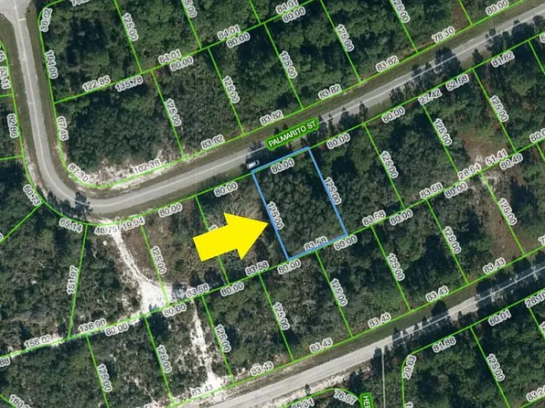 4419 Palmarito St, Sebring, FL 33872