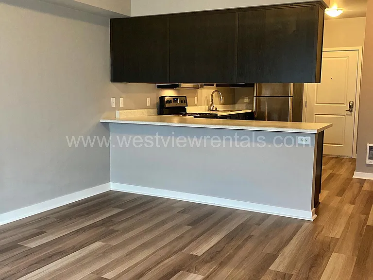 203 E Laurel St — Photo 194
