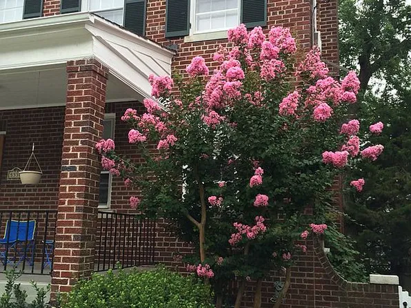 5336 Belt Rd NW, Washington, DC 20015