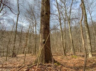 Don Wiley Rd, Caldwell, OH 43724