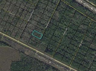 0 Randi Ave, Bunnell, FL 32110