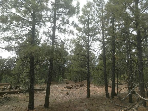 3rd image of 6494 Mogollon Trl