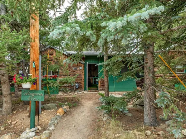 650 W Pine St, Nederland, CO 80466