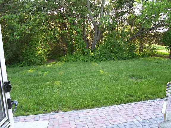 Looking out from back door in kitchen.