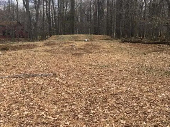 20 Cedar Run Rd, Newfoundland, PA 18445