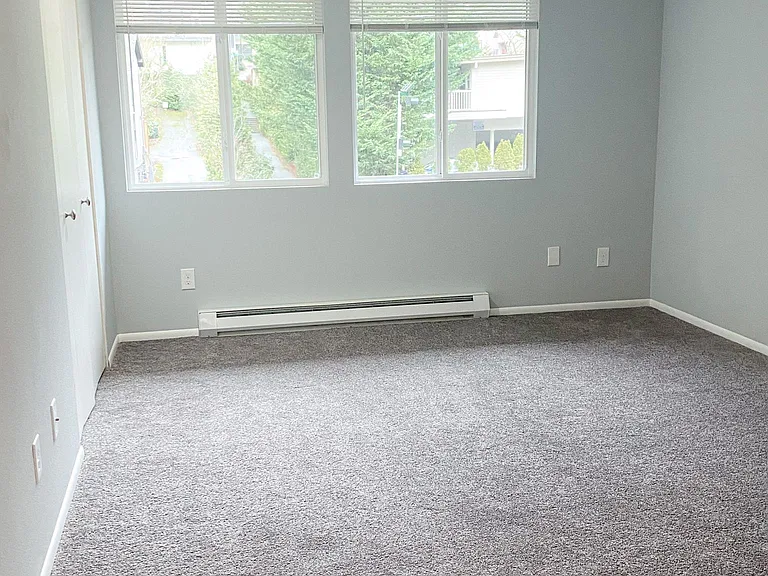 LARGE Master bedroom with dual closets