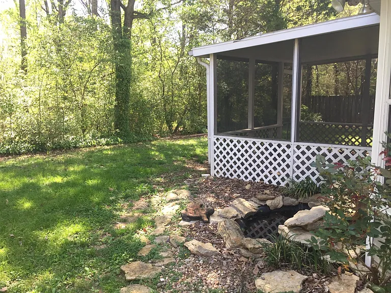 Beautiful back yard!