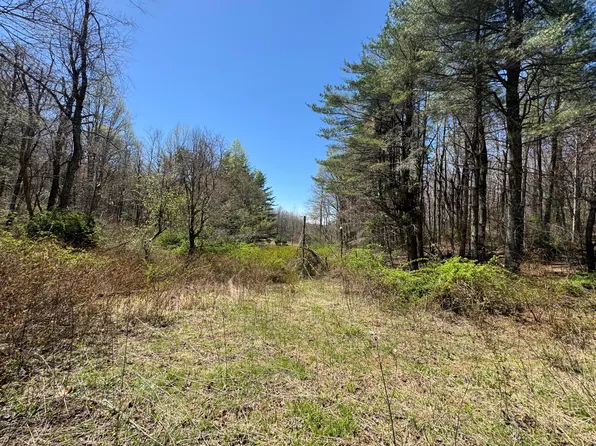 0 Cherry Creek Rd, Meadows Of Dan, VA 24120