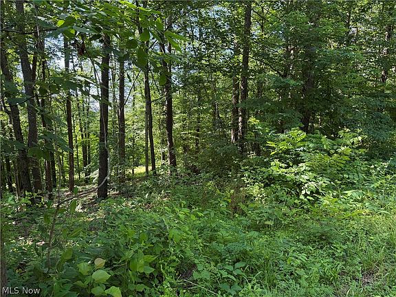 5th image of 0 Fisher Ridge Rd Tract 6