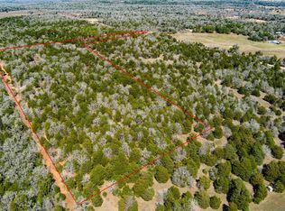 Tbd Edgewood Trl, Paige, TX 78659