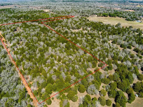 Tbd Edgewood Trl, Paige, TX 78659