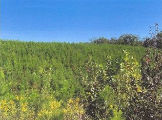 0 Bunch Mountain Rd, Adairsville, GA 30103