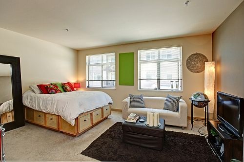 Living & Sleeping Area