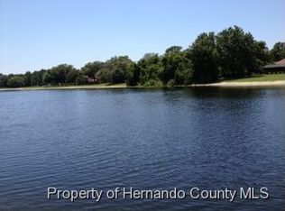 4299 River Birch Dr, Spring Hill, FL 34607