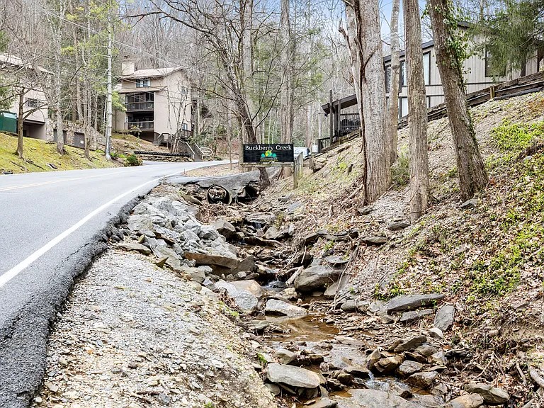 1228 Ski Mountain Rd #4 — Photo 9