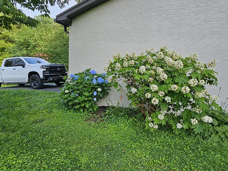 206 Forest Dr — Photo 2