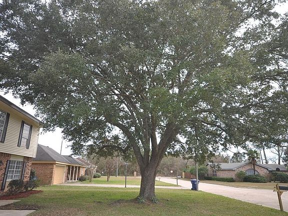 3rd image of 5033 Stephanie Dr