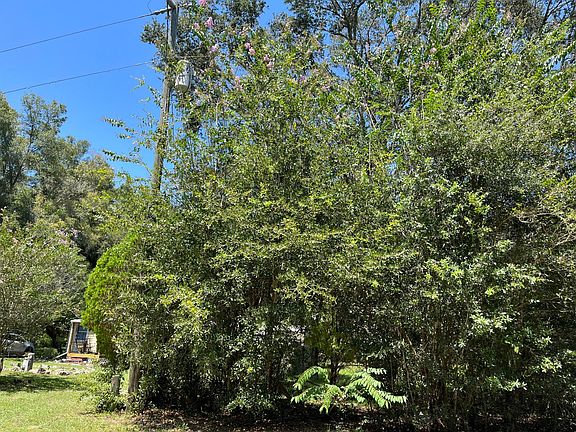 3rd image of 7617 W Citruswood Drive
