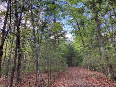 LOT 24 Mission Ridge Ct, Hayesville, NC, 28904