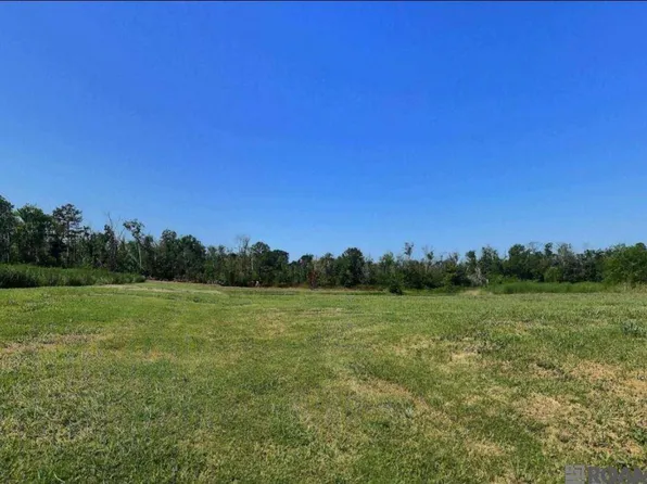 8557 New River Rd, Saint Amant, LA 70774