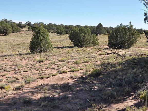 3rd image of PARCEL 1 N County Road 9190