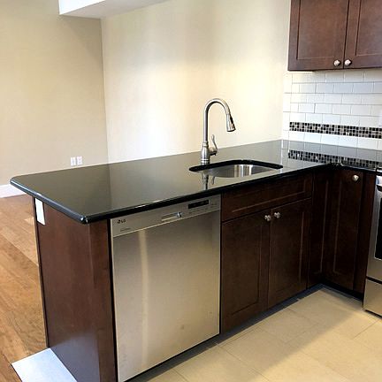 Stainless Steel Sink and Dishwasher,