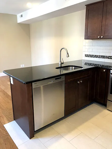 Stainless Steel Sink and Dishwasher,