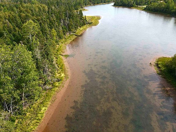 3rd image of Cape Bear Rd