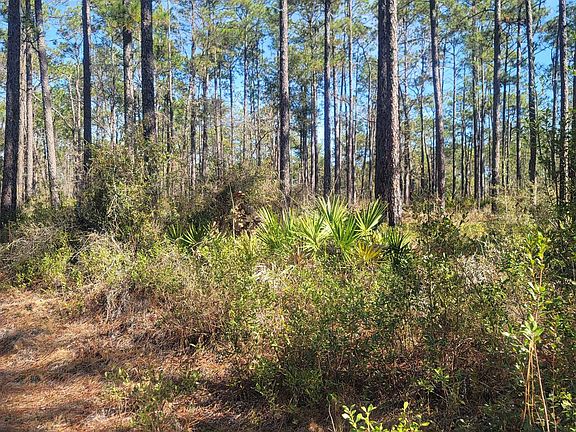 4th image of 0 Smith Creek Rd