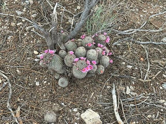 2nd image of 9500 E Tanque Verde Rd