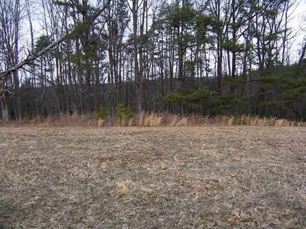 Leatherwood Ford Rd, Jamestown, TN 38556