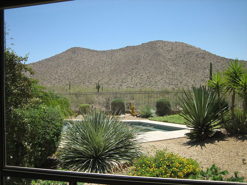 Back yard