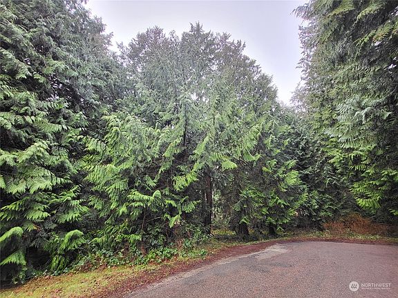 4th image of 2803 Park Drive