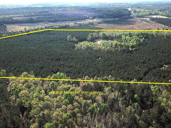 2nd image of 305 Ponderosa Rd