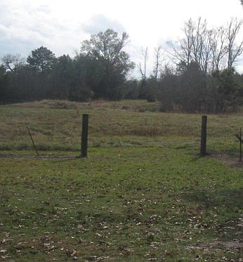 5th image of 959 S Fm 1194