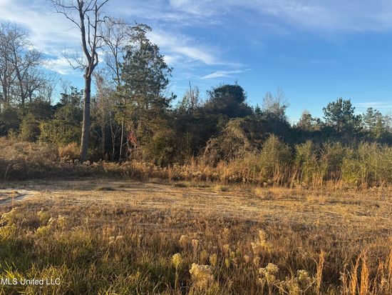 TRACT 2 Parker Rd, Mc Henry, MS 39561