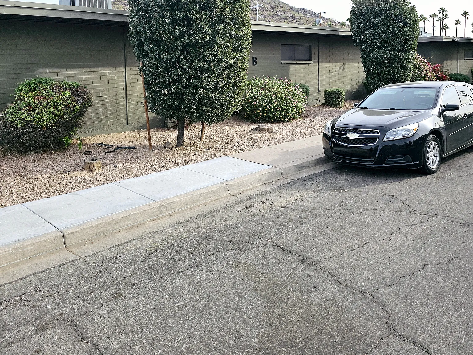 Aster Gardens — Photo 3