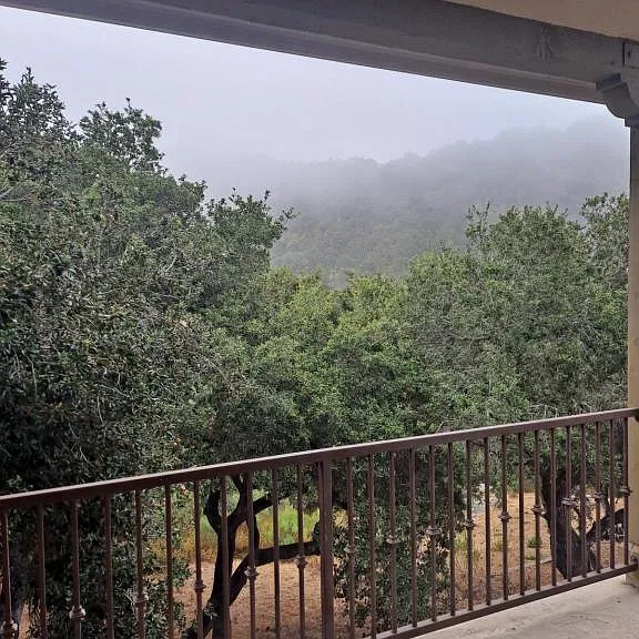 2710 Foxen Canyon Ln — Photo 13