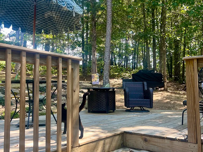 315 Mountain Ranch Dr — Photo 12