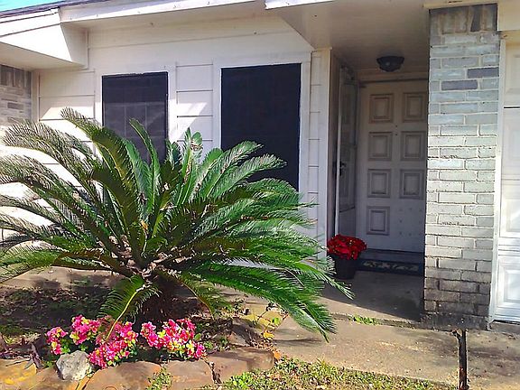 Front door with large Sega Palm