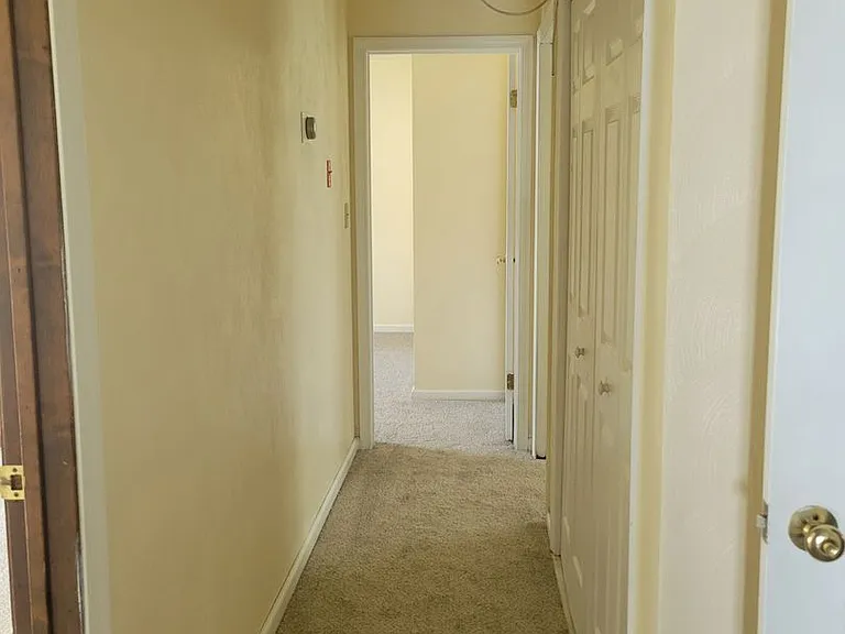5409 Branchwood Way — Photo 20