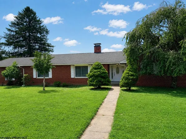 317 Pearcy St, Bridgeport, WV 26330